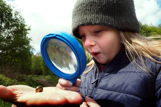 Sheffield and Rotherham Wildlife Trust hopes the resources packs will allow children to explore their local environment during lockdown