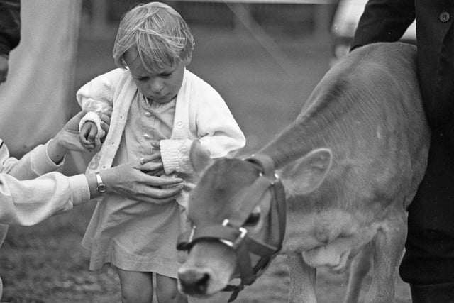 Lynsey McKitterick was the winner of the 'name the calf' competition at Sunderland Carnival in 1985.