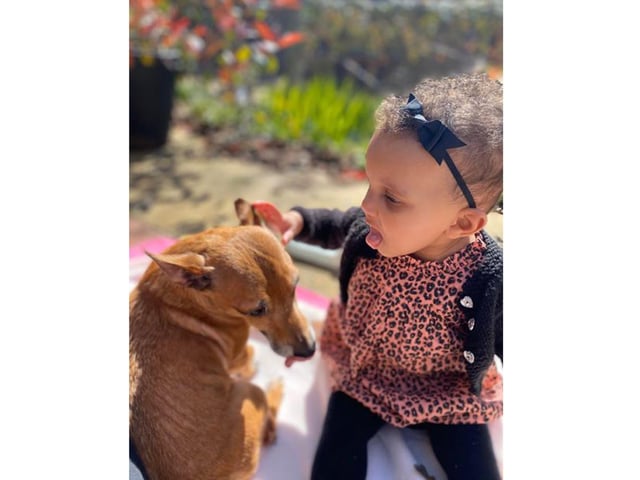 Kira-Jane Bell sent in this picture of 10-month-old Amayah, who is attempting to lick her dog, Peanut.