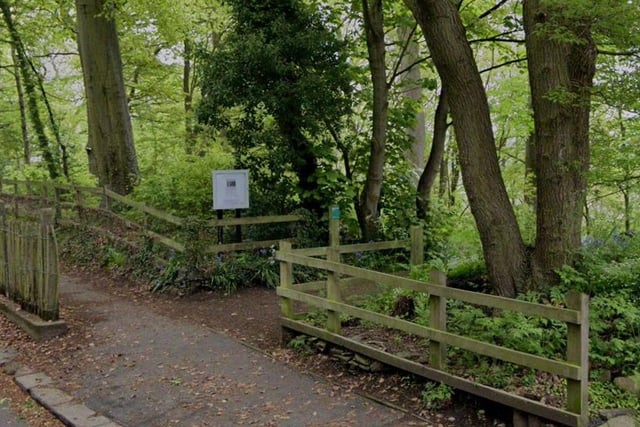 A slightly more quirky entry here. Brincliffe Edge Wood in Sheffield is where in 2019 an unruly crow started attacking and terrorising people as they walked through. The mischievous bird, cleverly nicknamed Russell, reportedly 'dive-bombed' victims, leaving some with nasty injuries.
