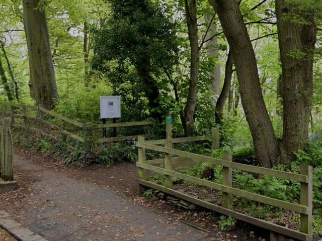 A slightly more quirky entry here. Brincliffe Edge Wood in Sheffield is where in 2019 an unruly crow started attacking and terrorising people as they walked through. The mischievous bird, cleverly nicknamed Russell, reportedly 'dive-bombed' victims, leaving some with nasty injuries.