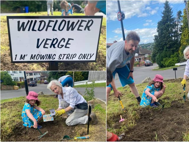Councillor Barbara Masters planting wildflowers in Sheffield with the community.