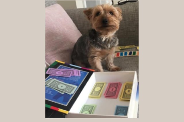 Milly playing banker during a family game of Monopoly.