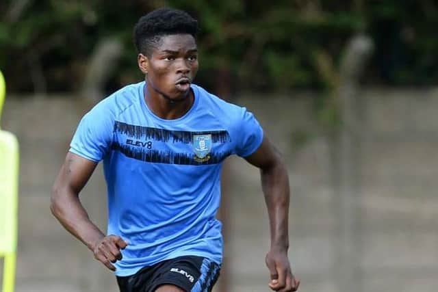Korede Adedoyin has been missing for Sheffield Wednesday due to injury.