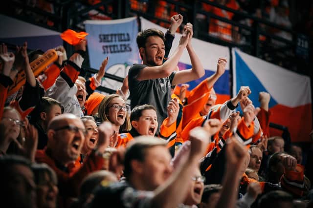 Sheffield Steelers fans: Picture by Hayley Roberts