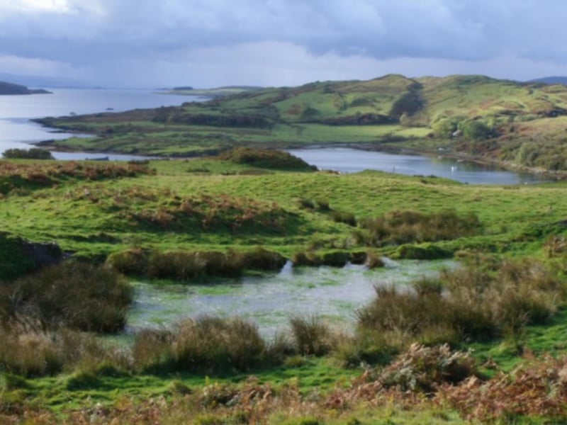 Seals, whales, porpoises and dolphins can be spotted off the shores of Torsa.