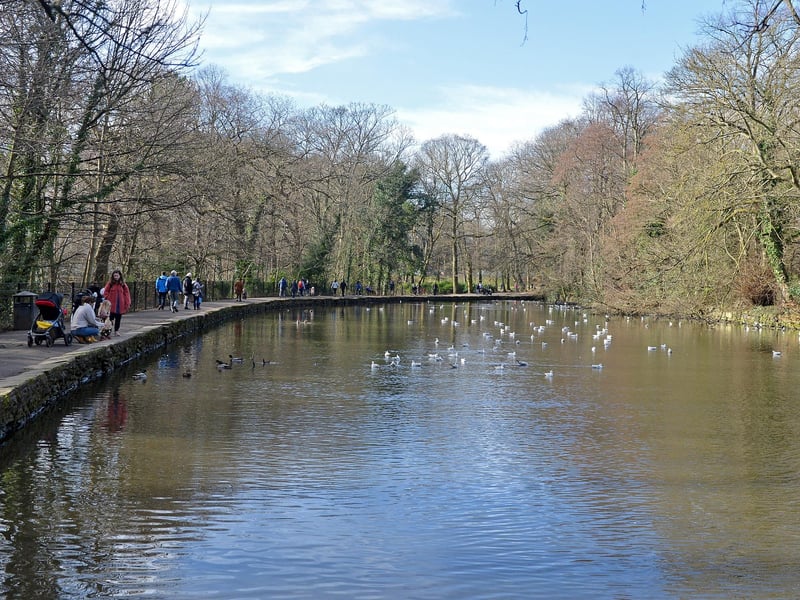 Feeding ducks at the lake.