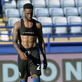 Chey Dunkley wants Sheffield Wednesday to use their home advantage.