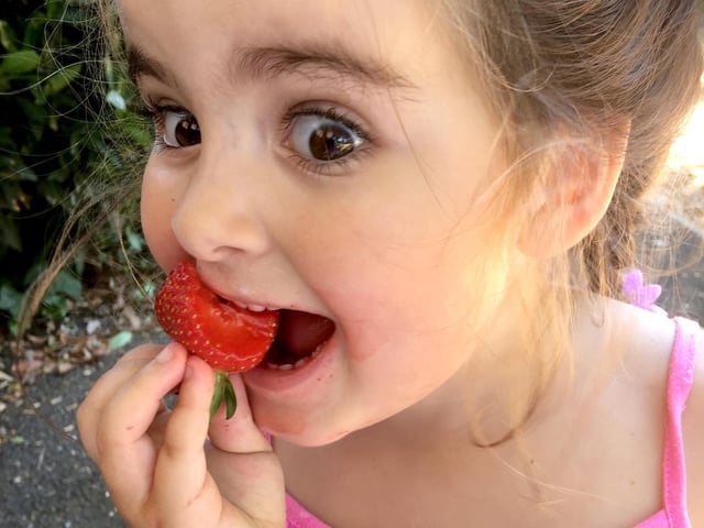 2018 Winner. Tilly Lyons eating strawberries in the park.