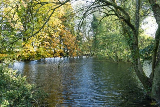 The 106-acre Elmestree estate is studded with fine trees and interspersed with mature woodland and ponds, such as this one. Cattle and sheep currently graze the parkland, while nestled in a small copse of woodland lies Pond Cottage a delightful but derelict waterside cottage, protected by trees.
