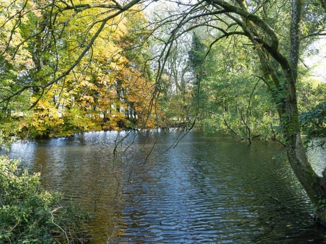 The 106-acre Elmestree estate is studded with fine trees and interspersed with mature woodland and ponds, such as this one. Cattle and sheep currently graze the parkland, while nestled in a small copse of woodland lies Pond Cottage a delightful but derelict waterside cottage, protected by trees.