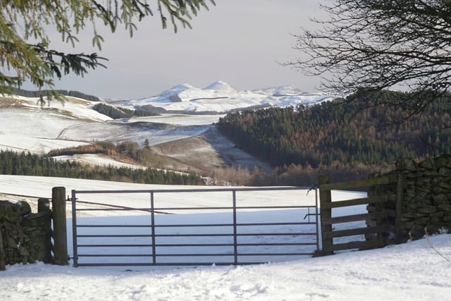 Christine Hingley was inspired to take a picture of this snowy field with hilltops in the background.