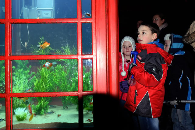 Getting a closer look at Aquarium, a flooded red telephone box complete with fish in Durham City Market Place. Remember this from 2013?