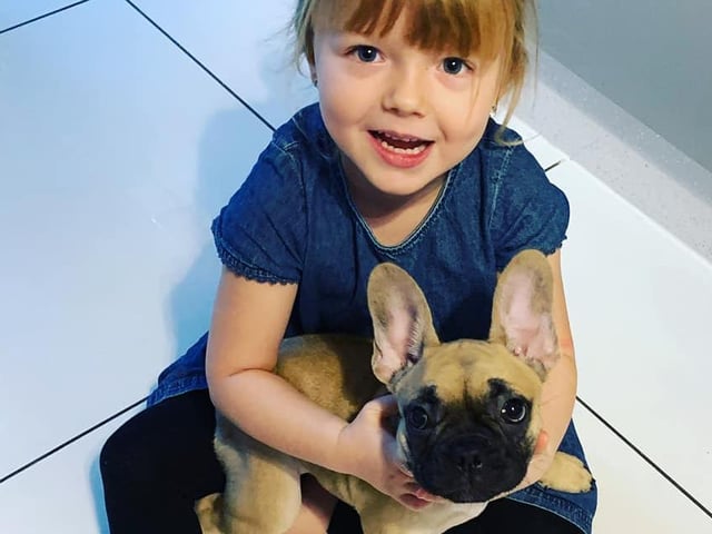 Puppy Norma enjoying lockdown. Shared by Demi Savoury.