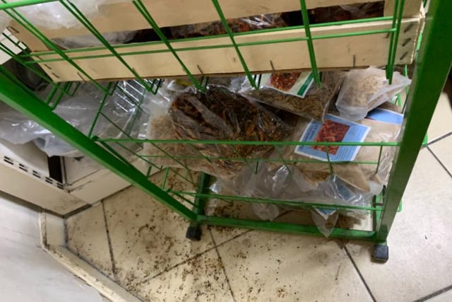 The store was ordered to close after sights including this were found by the team.