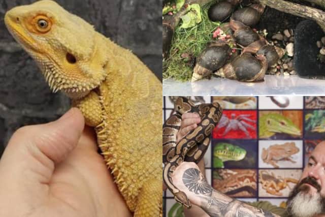 Here are some of the exotic animals found in Sheffield.