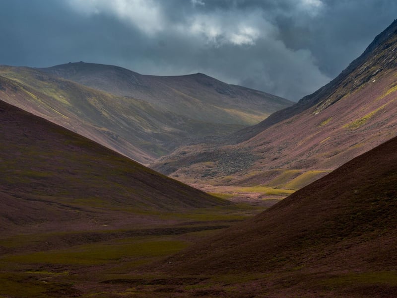 The Cairngorms National Park was established in September 2003.