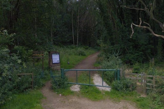 Nature reserve in Bulwell
