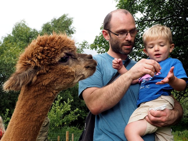 Sessions giving people the chance to draw the alpacas at Holly Hagg Community Farm, near Crosspool, are happening on Saturday, June 20 - there will be three classes starting at 2pm. Sanitised materials will be provided at allotted spots. Visit https://www.eventbrite.co.uk/e/alpaca-life-drawing-tickets-109648930904 for details.