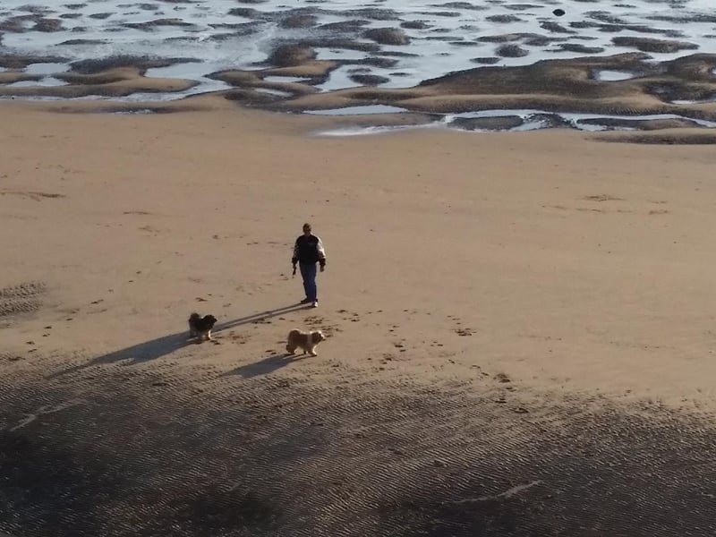 Bispham Beach, located between Blackpool North Shore and Cleveleys, is a popular, dog-friendly beach.