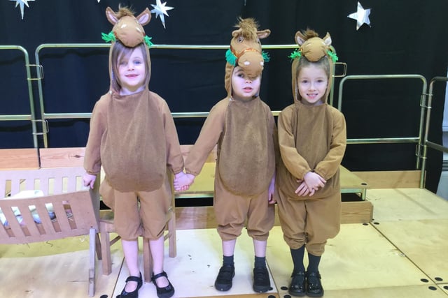 St John Fisher Primary School pupils rehearsing for their roles as three animals in the barn for the school nativity