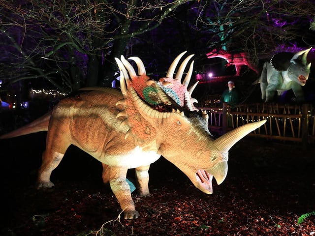 Visitors to Blair Drummond Safari Park near Stirling, Scotland, enjoy the illuminations installed in the Safari Park's new 'World of Dinosaur' exhibit.