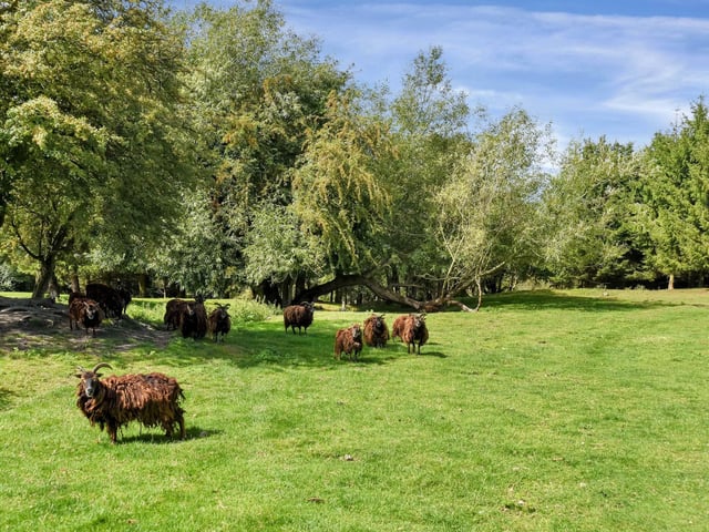 The charming grounds are, in brief, allocated as; formal gardens with a substantial lawned area, orchard with a selection of fruit trees, vegetable garden, several fenced paddocks, a paved patio area and several chicken houses.