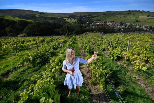 Holmfirth Vineyard is a family owned vineyard located in the picturesque hills of the Holme Valley, just under an hour's drive away from Sheffield. Visitors can soak up the sun outside, and book in for a tour and wine tasting.
