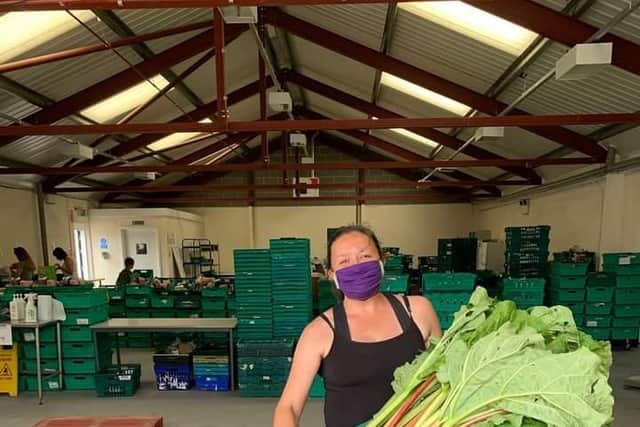 Rachael McNiven delivering rhubarb from Food Works Farm