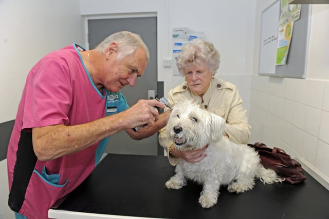 Vets are the ninth most likely job to be exposed to coronavirus according to the ONS.