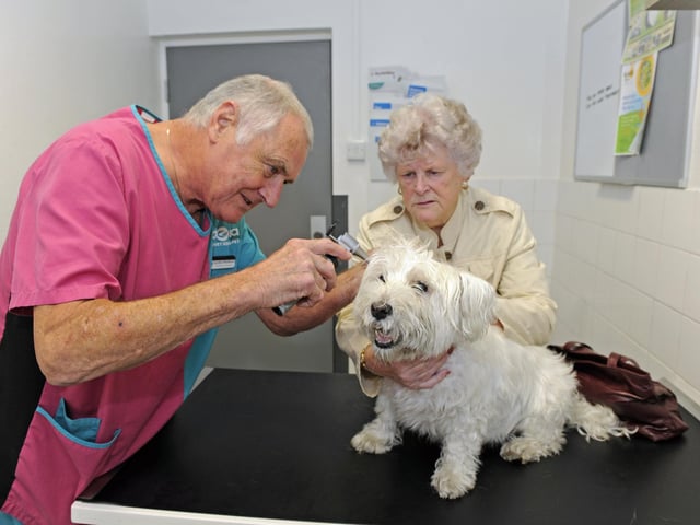 Vets are the ninth most likely job to be exposed to coronavirus according to the ONS.