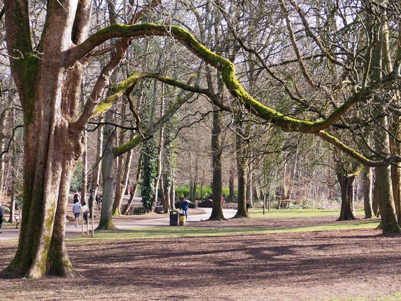The trees will soon be in leaf.