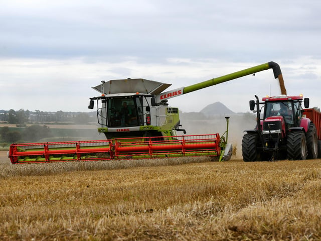 Wheat harvest at Wheatrig Farm, Longniddry. North Berwick Law Hill in the background.