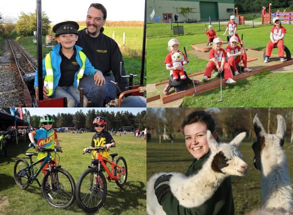 10 fun things to do with your kids in and around Mansfield during the summer holidays.