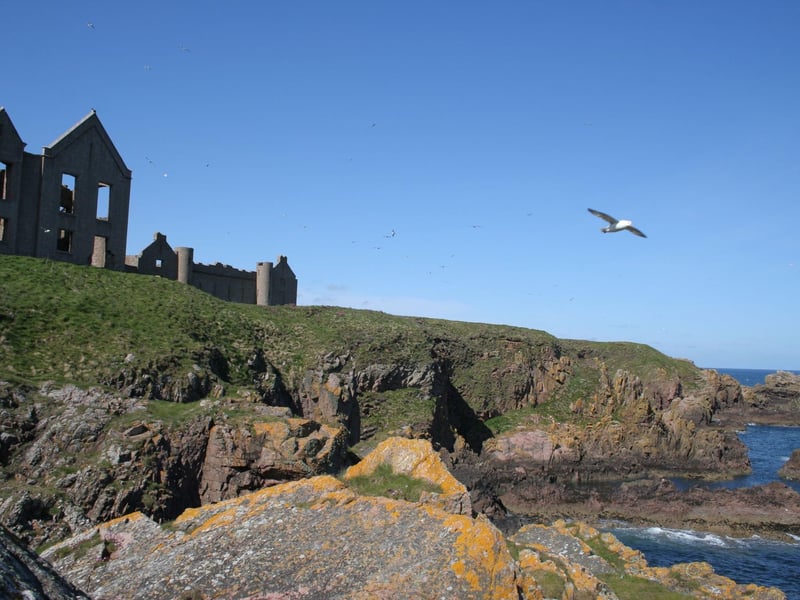 This 4.4km walk on the Aberdeenshire coast has it all - the sandy expanse of Cruden Bay, the dramatic rock formations caused by the Bullers of Buchan collapsed sea cave, and the history of Slains Castle, thought to be the inspiration for Bram Stoker's Dracula.