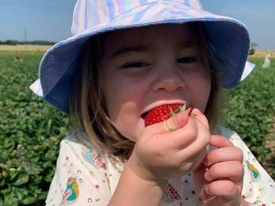 A young girl enjoying strawberry picking - from @together_at_sunset