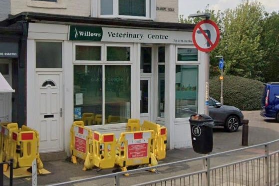 Willows Veterinary Centre on Stanhope Road in South Shields has a 4.6 rating from 126 reviews.