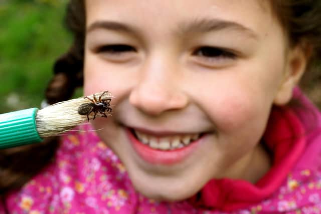 Lilah Moore, aged six, finds a spider during a Sheffield and Rotherham Wildlife Trust BioBlitz on Wadsley Common last year