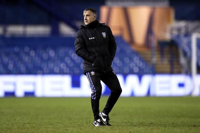 Sheffield Wednesday caretaker manager Neil Thompson is favourite with SkyBet to be appointed the club's new boss following the sacking of Tony Pulis. (Photo by George Wood/Getty Images)