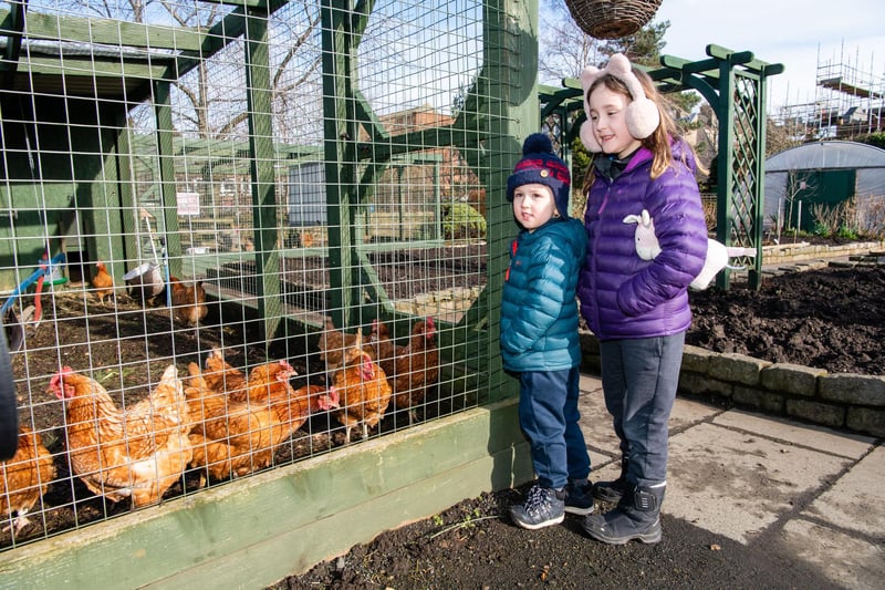 Autumn is the perfect time to make the most of cool weather and fresh air. LOVE Gorgie Farm encourages children to learn how to interact with animals in hands-on activities. From larger goats and calves to quacking ducks and tiny guinea pigs, your toddlers are sure to fall in love with every furry friend they meet. Just make sure they don't try and take one home with them! Photo: Ian Georgeson.