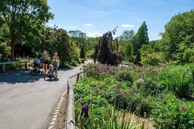 Golden Acre Park in Bramhope is one of the most spectacular parks in Leeds and is super easy to access. Covering an impressive 179 acres of parkland, Golden Acre Park is perfect for anyone who wants to spend more time in nature. 
