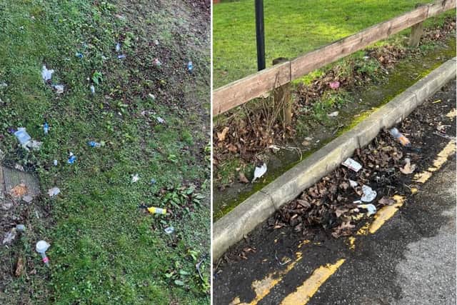 Mark Johnson, who lives on Lansdowne Estate in Sharrow, said the community has had to 'take matters into their own hands' as litter has become a familiar sight since last year.