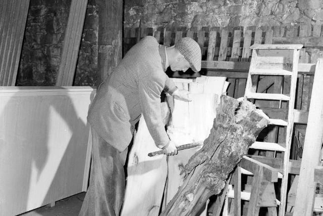 Furniture maker Mr Dodds selecting wood to make a rustic table, April 1958.