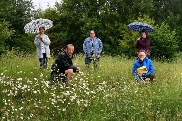 Campaigners for the protection of Rural Britain, pictured at Moorthorpe Bank, Owlthorpe, Sheffield.. Back row left to right are Sandra Fretwell-Smith, Claire Baker, Christine Rippon, front are Gary Monaghan and Andy Tickle..3rd June 2020..Picture by Simon Hulme 