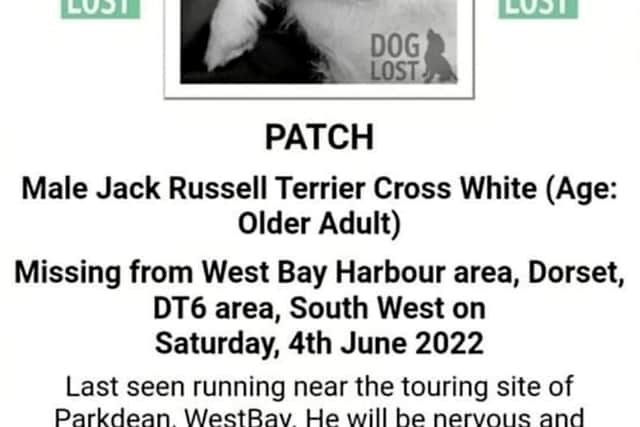 A family who lost their pet dog on a holiday are still at the resort 300 miles from home six weeks later - trying to find the beloved pet.  See SWNS story SWBRdog.  The pooch called Patch vanished while his owners were on a break in Dorset from their home in Sheffield.  Owner Josie has confirmed she has not left the area since the "tortuous" disappearance on June 4 - and is still there looking for her.  She says will not be going anywhere until her beloved pooch is found.  Patch, a white Jack Russell Terrier Cross breed, has not been sighted since his disappearance.  The family were on holiday in Dorset at the time, staying at their caravan in Parkdean Resorts West Bay Holiday Park.  The rescue dog, who the family describe as being of a nervous and shy nature, has been in their home for seven years. 