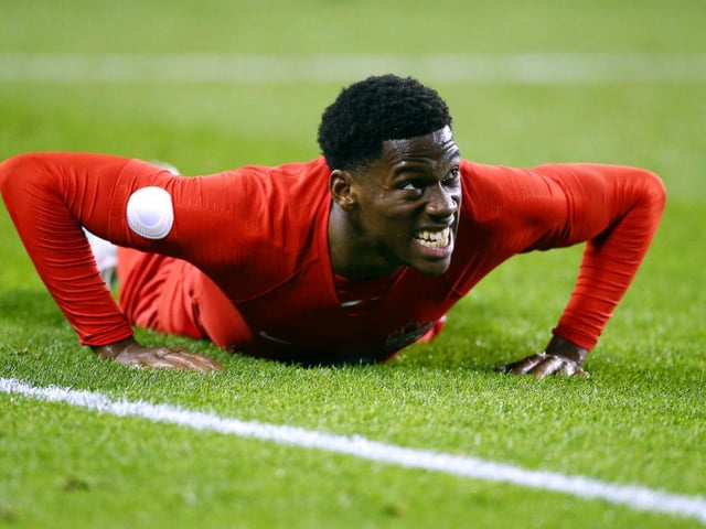 Newcastle United are planning a significant play in the transfer market with the acquisition of Lille striker Jonathan David. (Le10Sport)
(Photo by Vaughn Ridley/Getty Images)