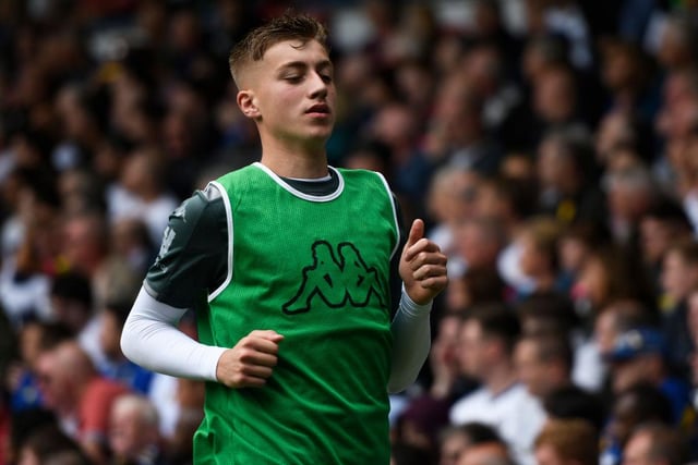 A player who was linked with Boro in January but instead joined QPR on loan. Despite his potential it seems unlikely the 19-year-old will break into Spurs' first team this season so another loan move may suit him.
