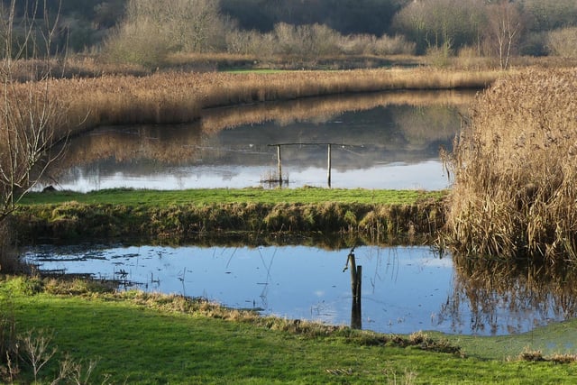 This attractive wetland nature reserve sits just outside of the city centre and offers the chance to spot various wildlife as you make your way around, including kingfishers, tree sparrows and snipe.