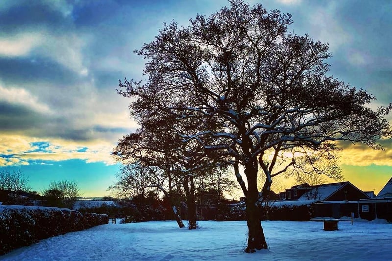 A snowy scene in Cupar  (Picture: Lorna Black)