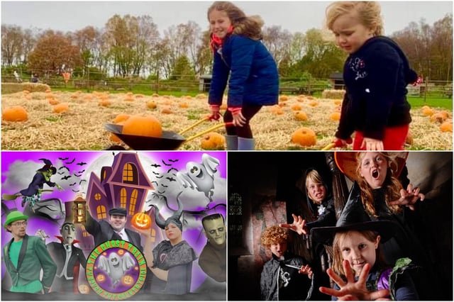 Pumpkin-picking at Matlock Farm Park, bewitching trail at Bolsover Castle or ghost stories aboard a train in Wirksworth will keep families entertained this half-term holiday.